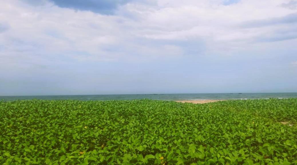 Chan Beach Resort Bahur Esterno foto